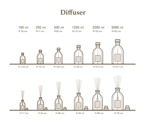 Dr vranjes Ginger lime Fragranza Ambiente 2500ml image 1
