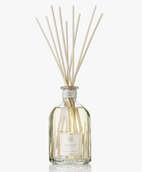 Dr vranjes Ginger lime Fragranza Ambiente 2500ml image 3
