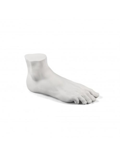 Memorabilia Mvsevm Male Foot image 1