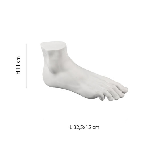 Memorabilia Mvsevm Male Foot image 2