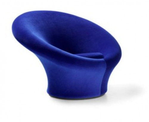 big mushroom image 2