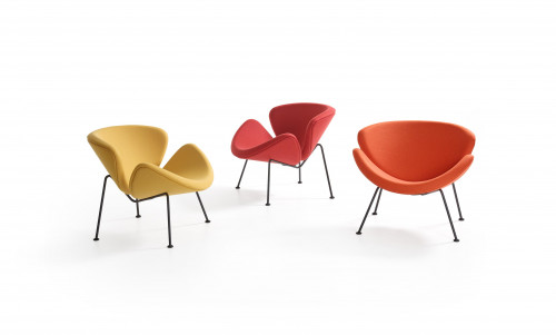 orange slice 1960 image 1