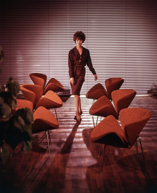 orange slice 1960 image 4