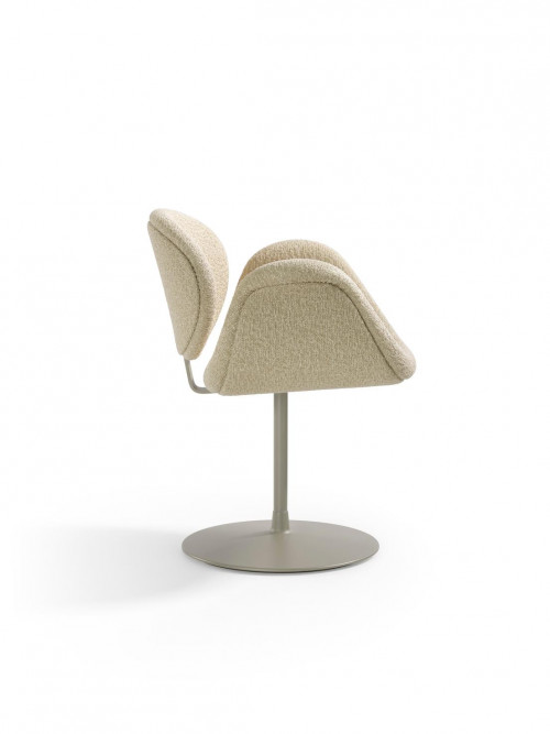 little tulip image 2