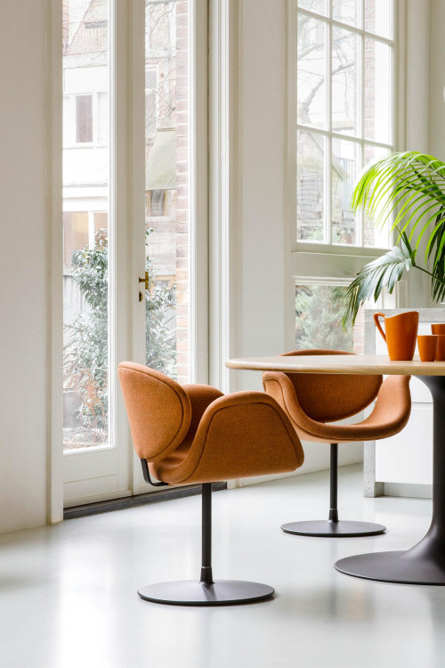 little tulip image 4