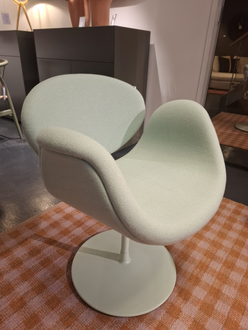 little Tulip showmodel image 1