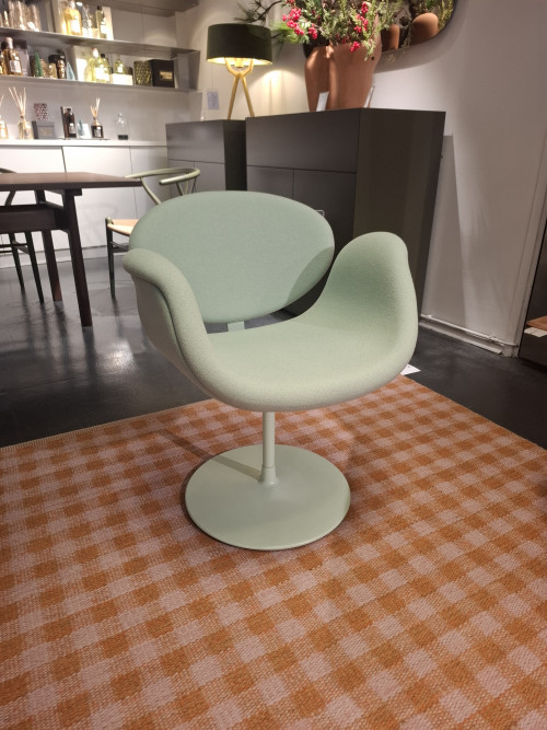 little Tulip showmodel image 2