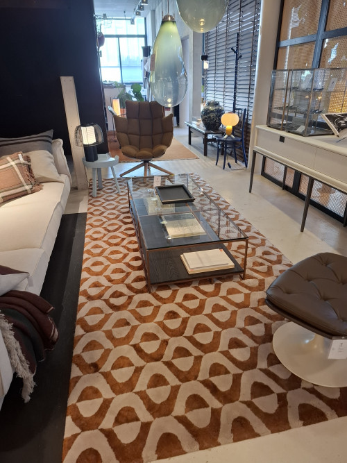 ajaccio carpet showmodel image 1