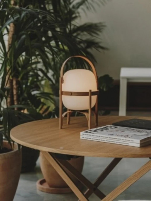 cestita showmodel image 2