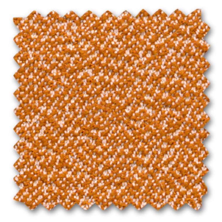 amoebe showmodel image 2