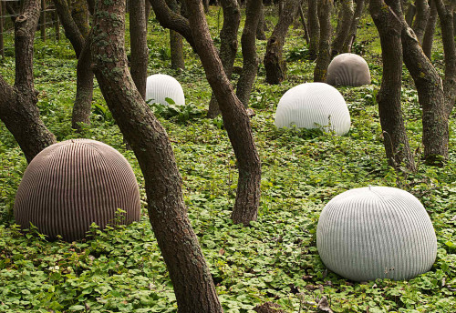 Bonnet Outdoor image 4